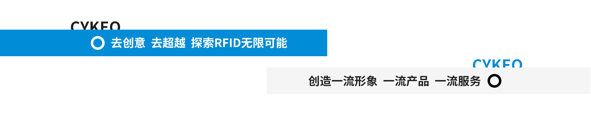 斯科 品牌 網站 20241202 02