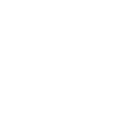 大容量存储