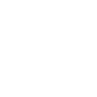 大容量存储