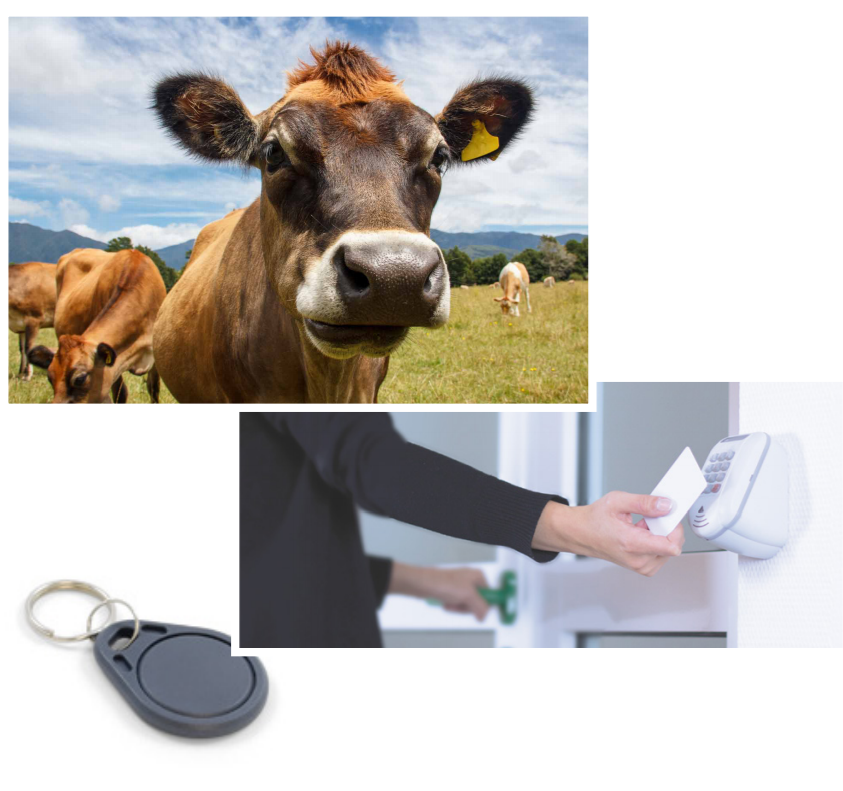 RFID类型及其使用指南（images 4）