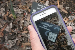 NFC与二维码：你需要知道的一切